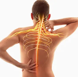 Nervive Nerve Pain Relief Vitamin