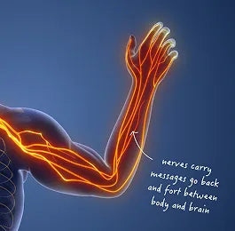 Nerve Pain Relief Vitamin